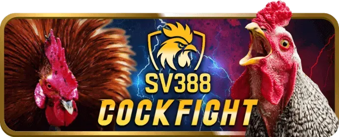 Lợi ích và cách sử dụng VIP66 Code để nhận ưu đãi độc quyền